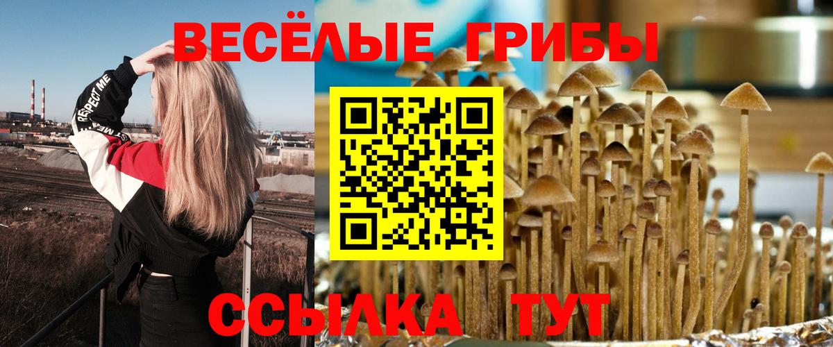 Псилоцибиновые грибы GOLDEN TEACHER Югорск